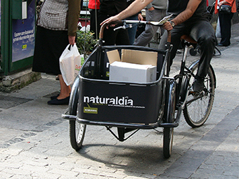 Diseño Vinilo para txita Naturaldia