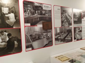 gráfica expositiva vito021